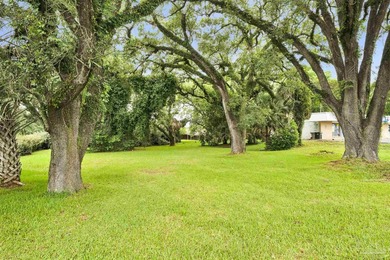 Amazing location! Beautiful lot with an additional back lot and - photo 4