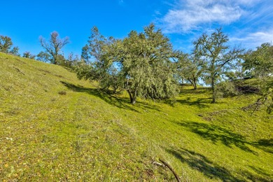 The Cantinas Ranch spans 587 acres of untouched California - photo 20