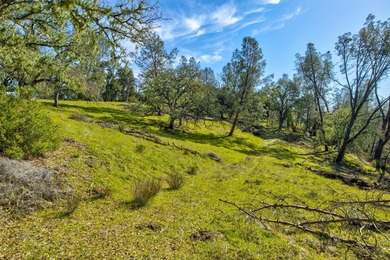 The Cantinas Ranch spans 587 acres of untouched California - photo 21