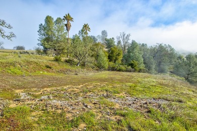 The Cantinas Ranch spans 587 acres of untouched California - photo 29