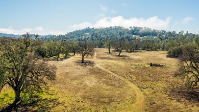 The Cantinas Ranch spans 587 acres of untouched California - photo 34
