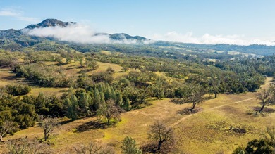 The Cantinas Ranch spans 587 acres of untouched California - photo 36
