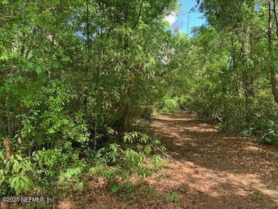 Chipco Lake Lot For Sale in Interlachen Florida