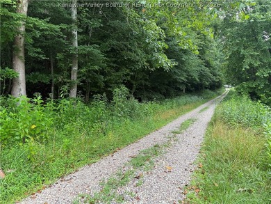Nice hunting property located less than 5 miles from Mud River - photo 1