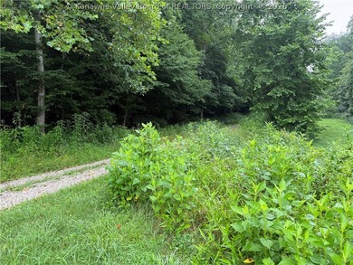 Nice hunting property located less than 5 miles from Mud River - photo 2