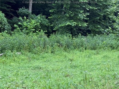 Nice hunting property located less than 5 miles from Mud River - photo 4