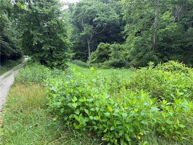 Nice hunting property located less than 5 miles from Mud River - photo 5
