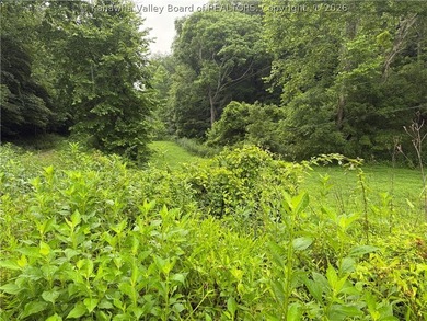 Nice hunting property located less than 5 miles from Mud River - photo 7