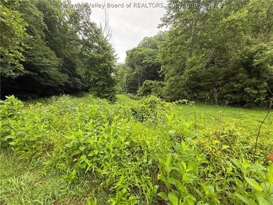 Nice hunting property located less than 5 miles from Mud River - photo 9