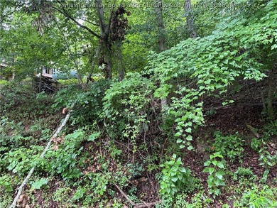 Nice hunting property located less than 5 miles from Mud River - photo 10