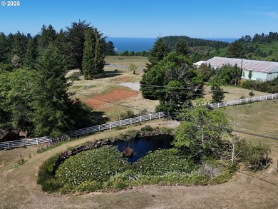 Welcome to this private oasis surrounded by magnificent trees - photo 9