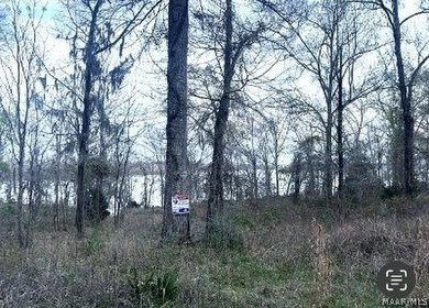 William Dannelly Reservoir Acreage For Sale in Camden Alabama