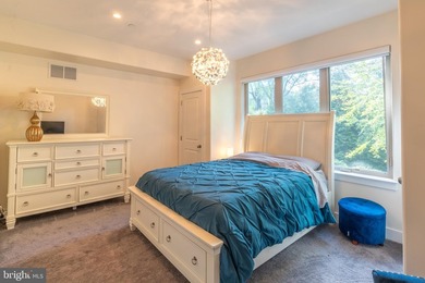 Experience the best of Manayunk living in this extraordinary - photo 15