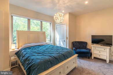 Experience the best of Manayunk living in this extraordinary - photo 16