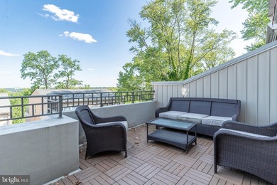 Experience the best of Manayunk living in this extraordinary - photo 33
