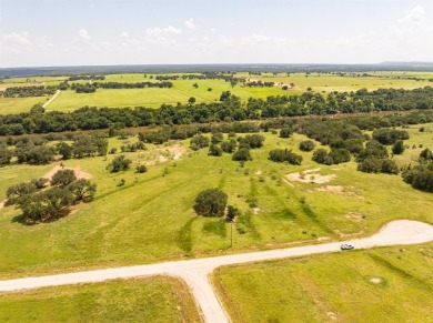 Lake Acreage For Sale in Mineral Wells, Texas