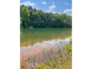 PRIVATE waterfront estate lot with single slip dock permitted wit - Lake Acreage For Sale in Hartwell, Georgia