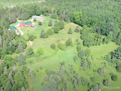 (private lake, pond, creek) Home For Sale in Chatham Michigan