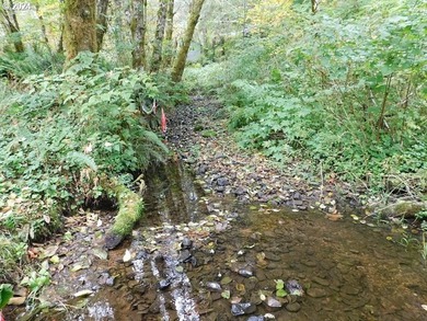 Have you been dreaming of finding a serene and tranquil retreat - photo 11