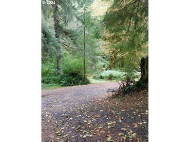 Have you been dreaming of finding a serene and tranquil retreat - photo 17