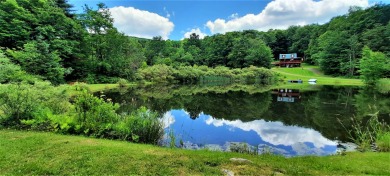 Lake Home For Sale in Walton, New York