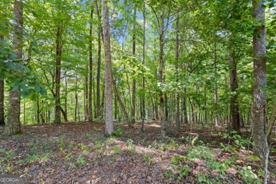 Lakefront 1.64+/- Acre lot in the Highly Desirable Lake Laceola - photo 11