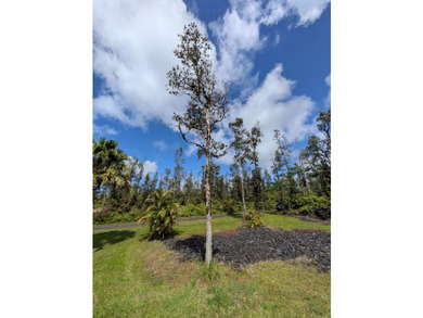 Fully cleared lot on Molokai Rd. Several lots away from the - photo 11
