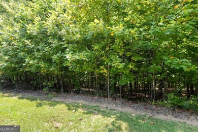 Lakefront 1.64+/- Acre lot in the Highly Desirable Lake Laceola - photo 13