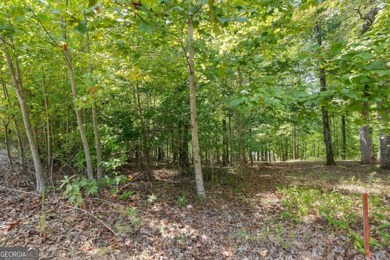 Lakefront 1.64+/- Acre lot in the Highly Desirable Lake Laceola - photo 14