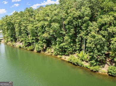 Lakefront 1.64+/- Acre lot in the Highly Desirable Lake Laceola - photo 21