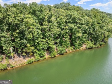 Lakefront 1.64+/- Acre lot in the Highly Desirable Lake Laceola - photo 22