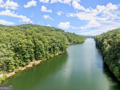 Lakefront 1.64+/- Acre lot in the Highly Desirable Lake Laceola - photo 23