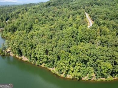 Lakefront 1.64+/- Acre lot in the Highly Desirable Lake Laceola - photo 25