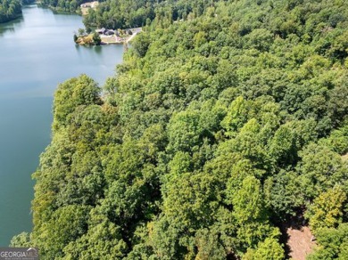Lakefront 1.64+/- Acre lot in the Highly Desirable Lake Laceola - photo 26
