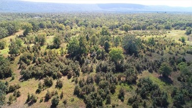 98+/- Acres | Kiamichi River Access | Ponds | Scenic Views | - photo 5