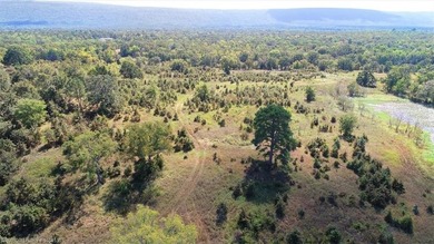 98+/- Acres | Kiamichi River Access | Ponds | Scenic Views | - photo 6