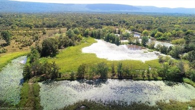 98+/- Acres | Kiamichi River Access | Ponds | Scenic Views | - photo 7