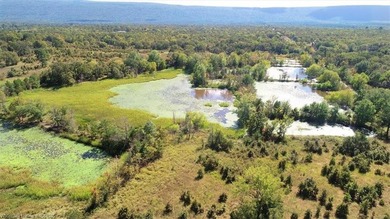 98+/- Acres | Kiamichi River Access | Ponds | Scenic Views | - photo 8