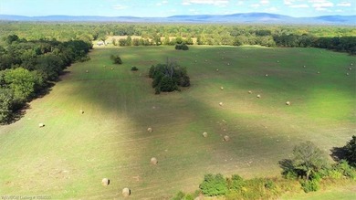 98+/- Acres | Kiamichi River Access | Ponds | Scenic Views | - photo 9