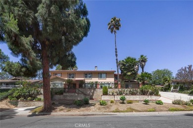 This exceptional 3 level, 2 story residence offers a rare - photo 2