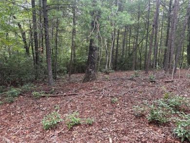 Lake Lot For Sale in Nebo, North Carolina