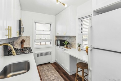 Lovely Fully Renovated 1 Bedroom, 1 Bathroom Corner Unit - photo 8