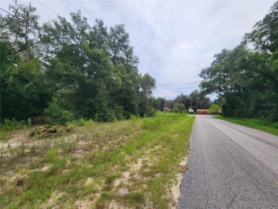 Lake Lot For Sale in Dunnellon, Florida