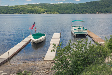 205 Acres w/Luxury log cabin & 12' lake permit w/dock SOLD - photo 3