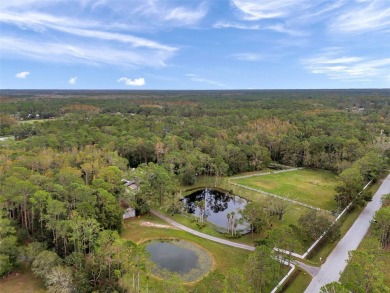 Lake Acreage For Sale in Tarpon Springs, Florida