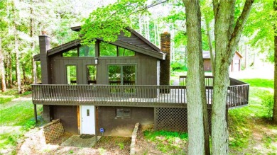 Lake Home For Sale in Holcombe, Wisconsin