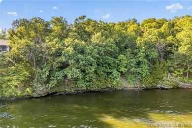 Rare opportunity to own an exceptional waterfront building lot - photo 11