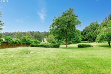 Gorgeous year-round territorial views of the Willamette River - photo 37