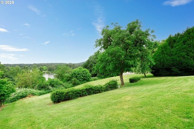 Gorgeous year-round territorial views of the Willamette River - photo 38