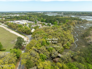 Beaufort River Commercial For Sale in Beaufort South Carolina